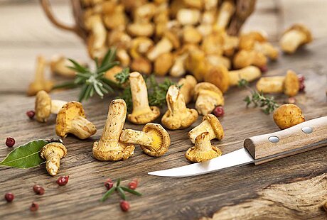 Pfifferlingszeit im Restaurant emil's im centrovital Hotel ©Marek Gottschalk/Fotolia.com